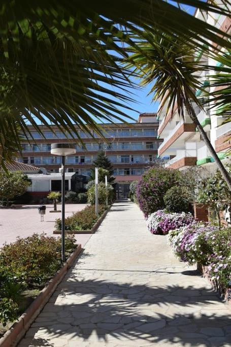 Alegre Apto Con Piscina, A 300M De La Playa. Blanes Exterior photo
