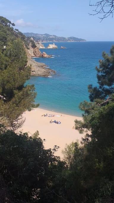 Alegre Apto Con Piscina, A 300M De La Playa. Blanes Exterior photo
