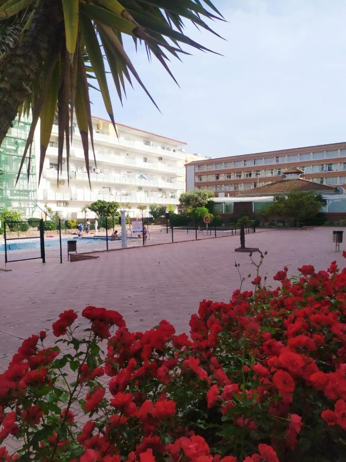 Alegre Apto Con Piscina, A 300M De La Playa. Blanes Exterior photo